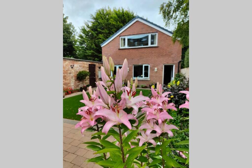 Bt 9 Granny Flat & Walled Garden Belfast Exteriör bild